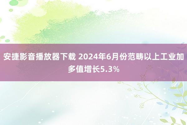 安捷影音播放器下载 2024年6月份范畴以上工业加多值增长5.3%