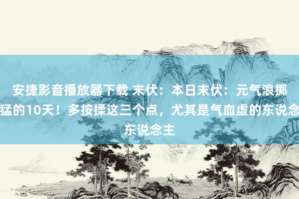 安捷影音播放器下载 末伏：本日末伏：元气浪掷最猛的10天！多按揉这三个点，尤其是气血虚的东说念主