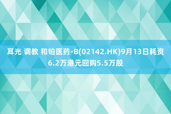 耳光 调教 和铂医药-B(02142.HK)9月13日耗资6