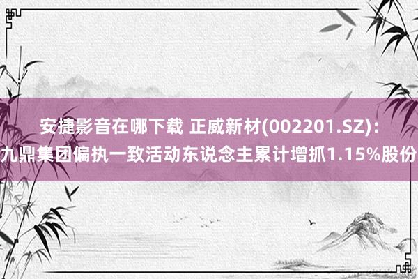 安捷影音在哪下载 正威新材(002201.SZ)：九鼎集团偏