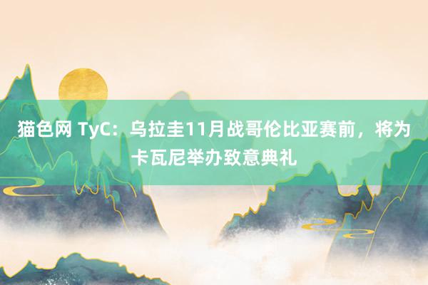 猫色网 TyC：乌拉圭11月战哥伦比亚赛前，将为卡瓦尼举办致意典礼