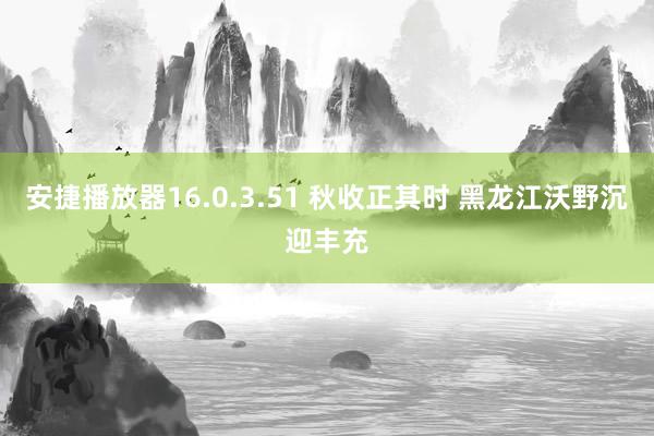 安捷播放器16.0.3.51 秋收正其时 黑龙江沃野沉迎丰充