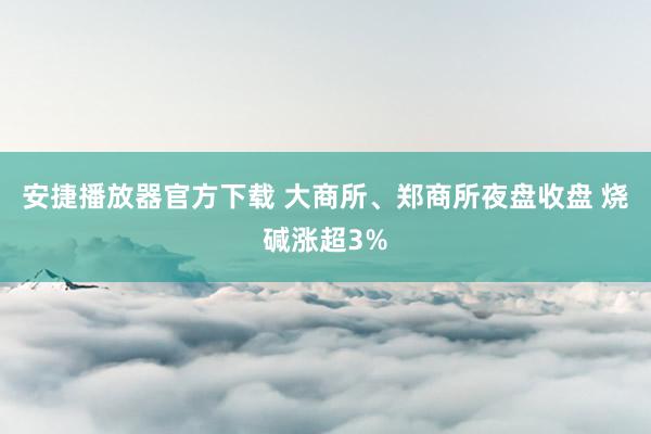 安捷播放器官方下载 大商所、郑商所夜盘收盘 烧碱涨超3%