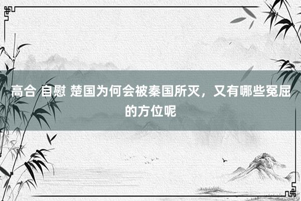 高合 自慰 楚国为何会被秦国所灭，又有哪些冤屈的方位呢