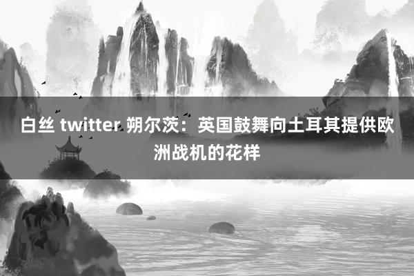 白丝 twitter 朔尔茨：英国鼓舞向土耳其提供欧洲战机的花样