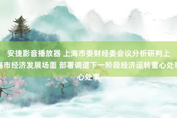 安捷影音播放器 上海市委财经委会议分析研判上海市经济发展场面 部署调遣下一阶段经济运转重心处事