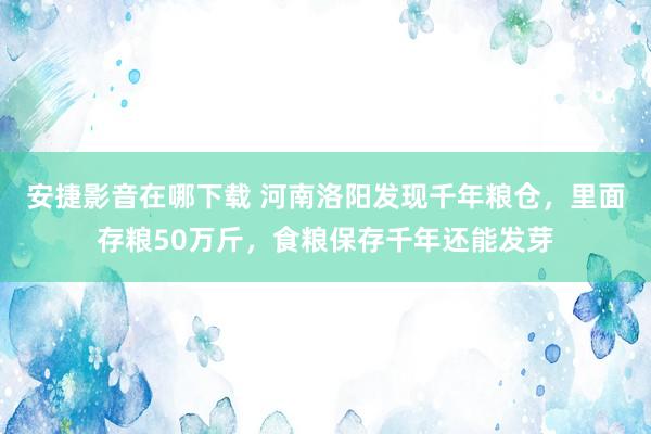 安捷影音在哪下载 河南洛阳发现千年粮仓，里面存粮50万斤，食粮保存千年还能发芽