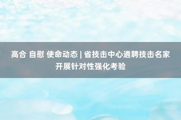 高合 自慰 使命动态 | 省技击中心遴聘技击名家开展针对性强化考验