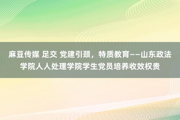 麻豆传媒 足交 党建引颈，特质教育——山东政法学院人人处理学院学生党员培养收效权贵