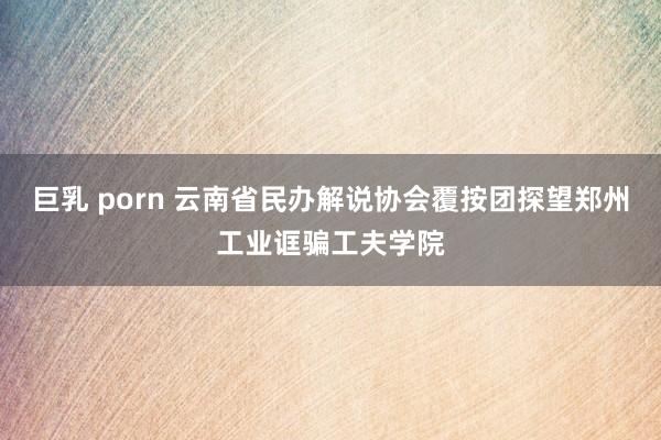 巨乳 porn 云南省民办解说协会覆按团探望郑州工业诓骗工夫学院