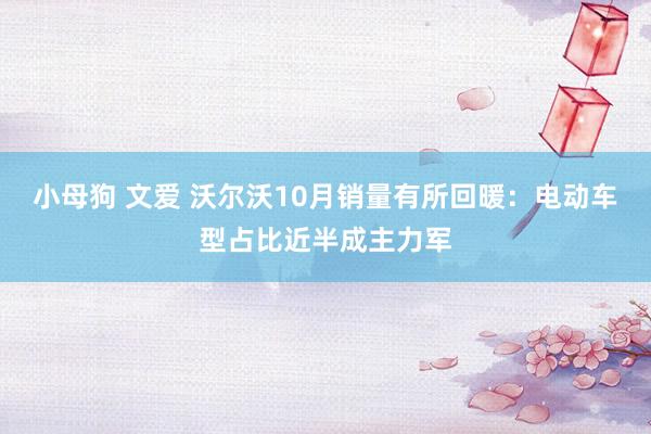 小母狗 文爱 沃尔沃10月销量有所回暖：电动车型占比近半成主力军