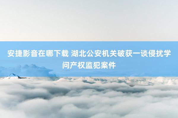 安捷影音在哪下载 湖北公安机关破获一谈侵扰学问产权监犯案件