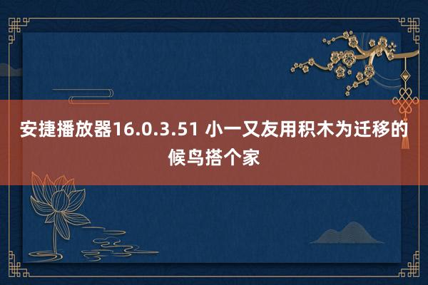 安捷播放器16.0.3.51 小一又友用积木为迁移的候鸟搭个家