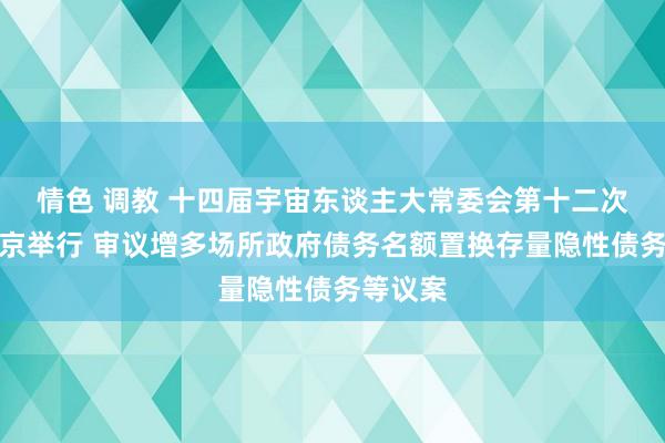 情色 调教 十四届宇宙东谈主大常委会第十二次会议在京举行 审议增多场所政府债务名额置换存量隐性债务等议案