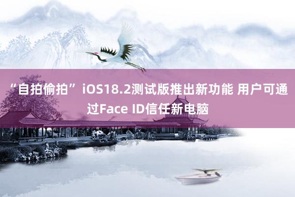 “自拍偷拍” iOS18.2测试版推出新功能 用户可通过Face ID信任新电脑