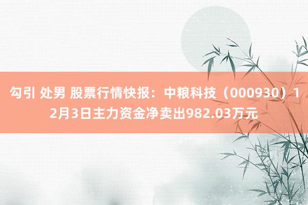 勾引 处男 股票行情快报：中粮科技（000930）12月3日主力资金净卖出982.03万元