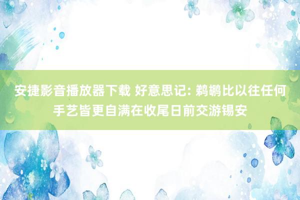 安捷影音播放器下载 好意思记: 鹈鹕比以往任何手艺皆更自满在