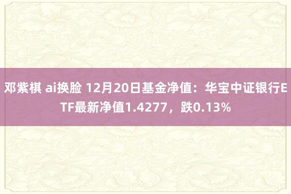 邓紫棋 ai换脸 12月20日基金净值：华宝中证银行ETF最