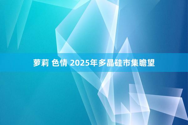 萝莉 色情 2025年多晶硅市集瞻望