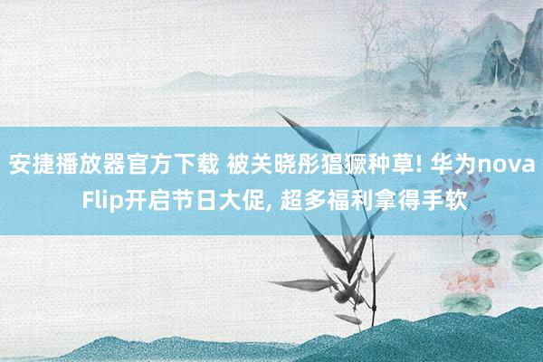 安捷播放器官方下载 被关晓彤猖獗种草! 华为nova Flip开启节日大促， 超多福利拿得手软