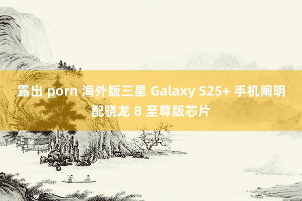 露出 porn 海外版三星 Galaxy S25+ 手机阐明配骁龙 8 至尊版芯片