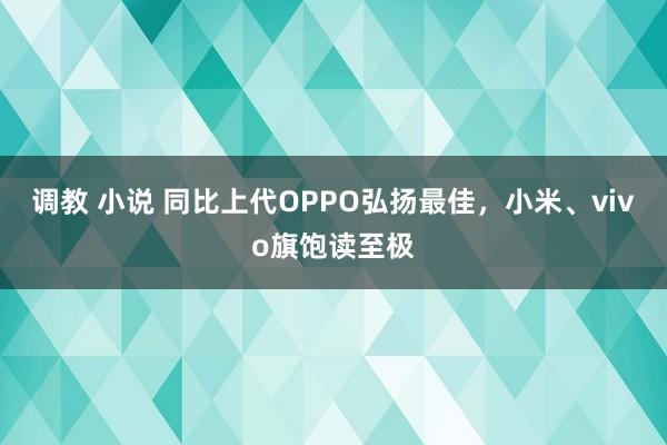 调教 小说 同比上代OPPO弘扬最佳，小米、vivo旗饱读至极