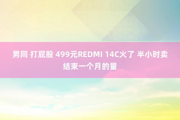 男同 打屁股 499元REDMI 14C火了 半小时卖结束一个月的量