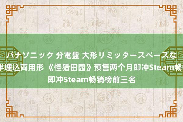 パナソニック 分電盤 大形リミッタースペースなし 露出・半埋