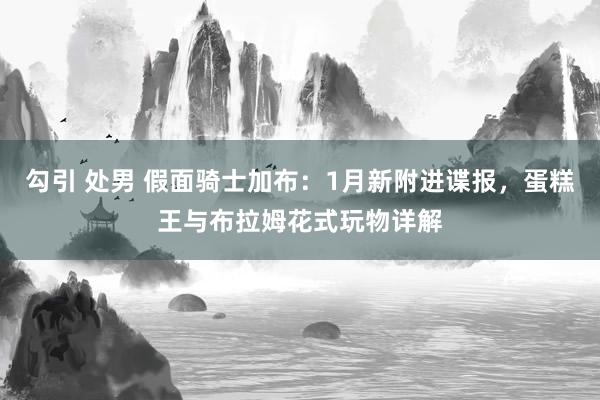 勾引 处男 假面骑士加布：1月新附进谍报，蛋糕王与布拉姆花式