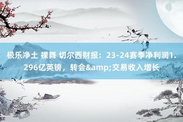 极乐净土 裸舞 切尔西财报：23-24赛季净利润1.296亿英镑，转会&交易收入增长