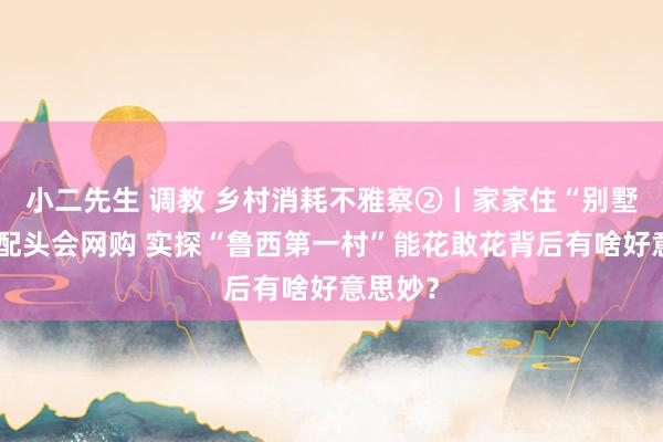小二先生 调教 乡村消耗不雅察②丨家家住“别墅”，老配头会网购 实探“鲁西第一村”能花敢花背后有啥好意思妙？