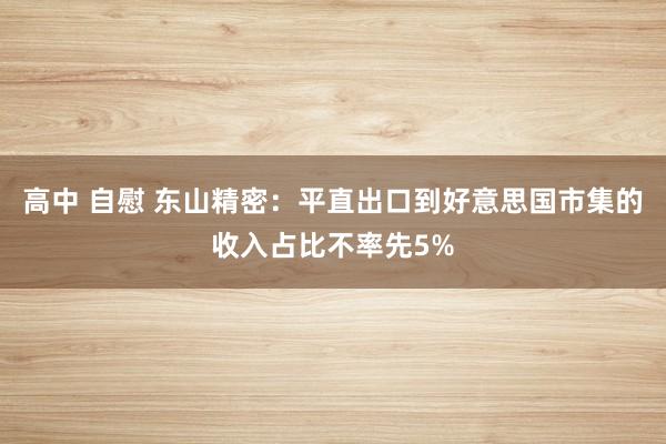 高中 自慰 东山精密：平直出口到好意思国市集的收入占比不率先