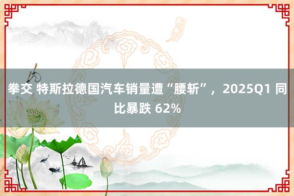 拳交 特斯拉德国汽车销量遭“腰斩”，2025Q1 同比暴跌 