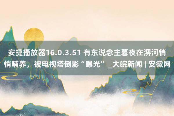 安捷播放器16.0.3.51 有东说念主暮夜在淠河悄悄哺养，