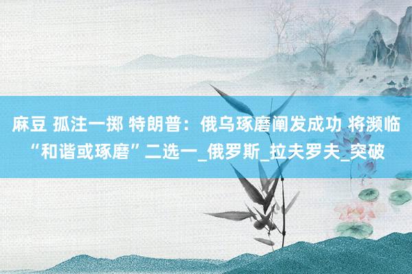 麻豆 孤注一掷 特朗普：俄乌琢磨阐发成功 将濒临“和谐或琢磨”二选一_俄罗斯_拉夫罗夫_突破