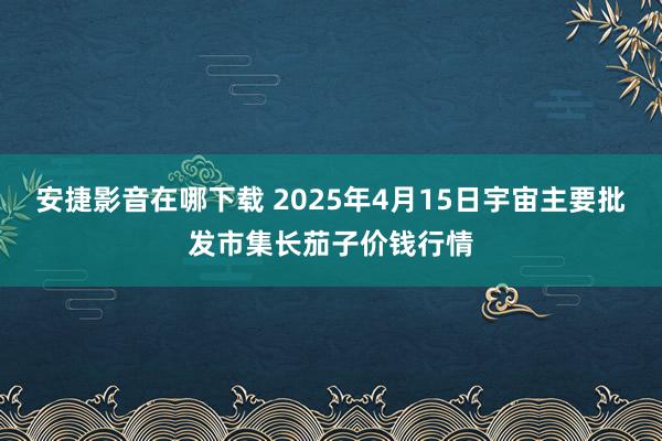 安捷影音在哪下载 2025年4月15日宇宙主要批发市集长茄子价钱行情
