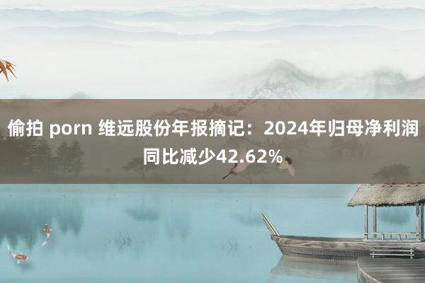 偷拍 porn 维远股份年报摘记：2024年归母净利润同比减