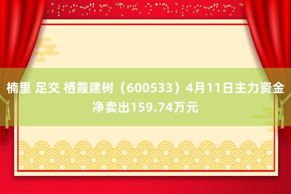 楠里 足交 栖霞建树（600533）4月11日主力资金净卖出