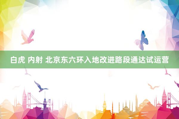 白虎 内射 北京东六环入地改进路段通达试运营