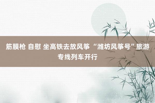 筋膜枪 自慰 坐高铁去放风筝 “潍坊风筝号”旅游专线列车开行