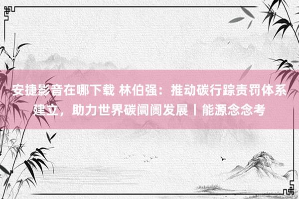 安捷影音在哪下载 林伯强：推动碳行踪责罚体系建立，助力世界碳
