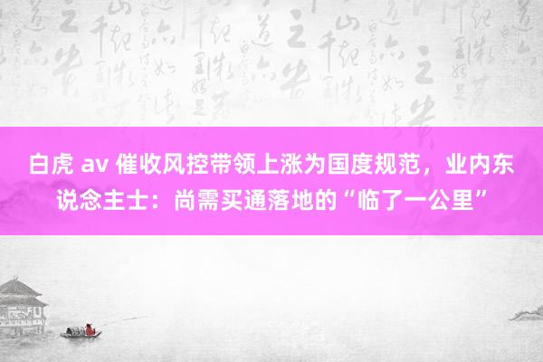 白虎 av 催收风控带领上涨为国度规范，业内东说念主士：尚需
