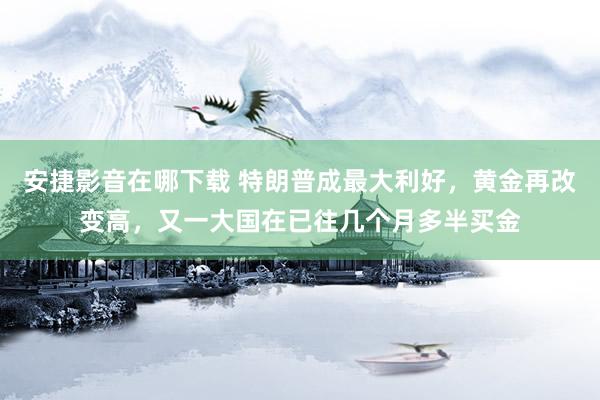 安捷影音在哪下载 特朗普成最大利好，黄金再改变高，又一大国在