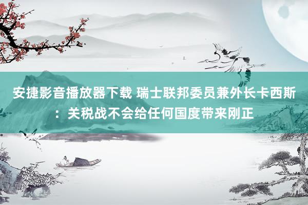 安捷影音播放器下载 瑞士联邦委员兼外长卡西斯：关税战不会给任