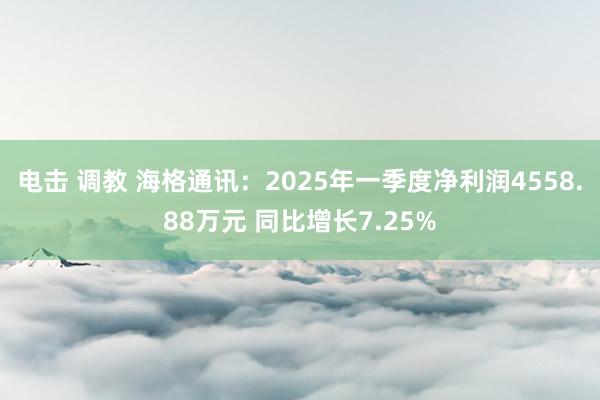 电击 调教 海格通讯：2025年一季度净利润4558.88万