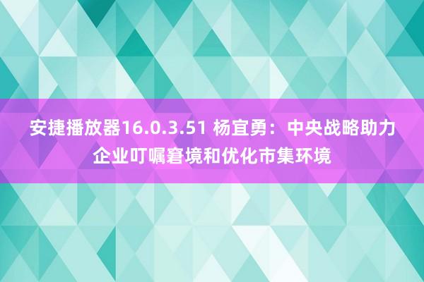 安捷播放器16.0.3.51 杨宜勇：中央战略助力企业叮嘱窘