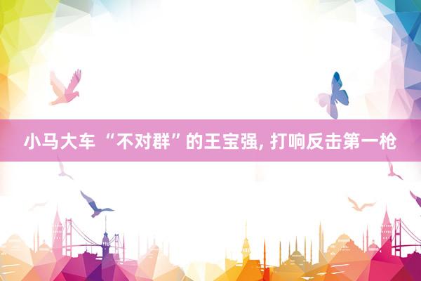 小马大车 “不对群”的王宝强, 打响反击第一枪
