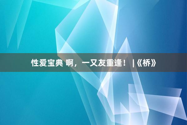性爱宝典 啊，一又友重逢！ |《桥》